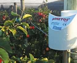 Производство яблок с использованием системы поддержки принятия решений IMETOS